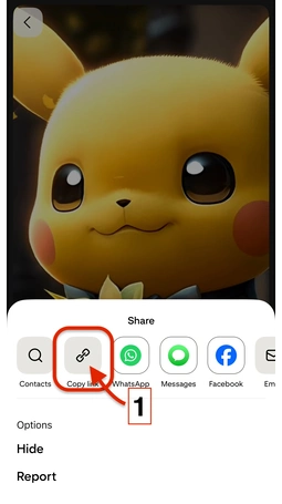 Descargador de videos de Pinterest